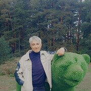  -,   , 55 ,   ,   