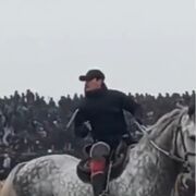 ���������� �����-���������, ���� ������� �����, 48 ���, ������������ ��� ������, ����� � ���������