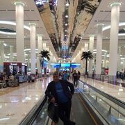 ���������� �����-���������, ���� ������� ������, 43 ����, ������������ ��� ������, ����� � ���������