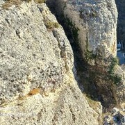 ���������� ����������, ���� ������� �����, 99 ���, ������������ ��� c�������� ���������