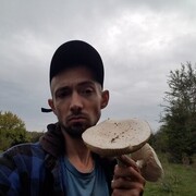 ���������� ���������, ���� ������� ������, 38 ���, ������������ ��� ������, ����� � ���������