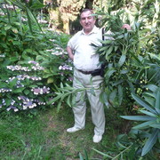  ,   , 60 ,   ,   , c , 