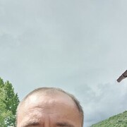  ,   , 44 ,     , c 