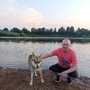 ���������� ������, ���� ������� ������, 44 ����, ������������ ��� c�������� ���������