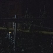 ���������� ����, ���� ������� ������, 44 ����, ������������ ��� ������, ����� � ���������