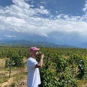 ���������� ������, ���� ������� ������, 33 ����, ������������ ��� ������, ����� � ���������