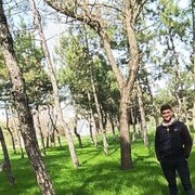 ���������� ������, ���� ����� Sudais, 24 ����, ������������ ��� ������, ����� � ���������