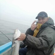 ���������� ����-���������, ���� ������� ����, 45 ���, ������������ ��� ������, ����� � ���������, c�������� ���������