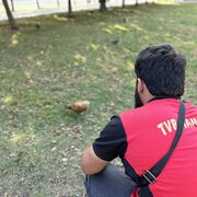 ���������� ������, ���� ������� �����, 32 ����, ������������ ��� ������, ����� � ���������