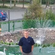  -,   , 46 ,   c 