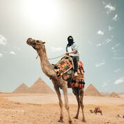  -,   Mahmoud, 29 ,   ,   