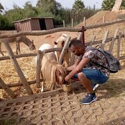 ���������� �����, ���� ������� Mester Brown, 34 ����, ������������ ��� ������, ����� � ���������, c�������� ���������, ���������