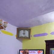  ,   Alaa, 41 ,   ,   , c 