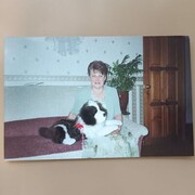 ���������� ������ ��������, ���� ������� ���������, 72 ����, ������������ ��� ����� � ���������, c�������� ���������