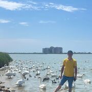 ���������� ���������, ���� ������� �������, 27 ���, ������������ ��� ������, ����� � ���������, c�������� ���������