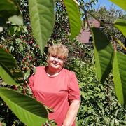 ���������� �������, ���� ������� ������, 100 ���, ������������ ��� ������, ����� � ���������