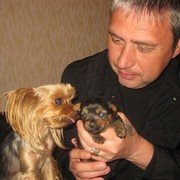 ���������� ������, ���� ������� ������, 50 ���, ������������ ��� ������, ����� � ���������, c�������� ���������