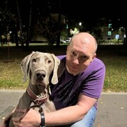 ���������� ������, ���� ������� �������, 48 ���, ������������ ��� ������, ����� � ���������, c�������� ���������