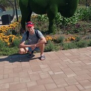 ���������� �����������, ���� ������� ����, 33 ����, ������������ ��� ������, ����� � ���������