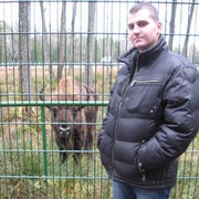 ���������� �����, ���� ������� �����, 38 ���, ������������ ��� ������