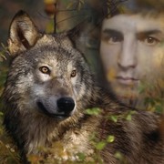 ���������� �����-���������, ���� ������� ��������, 34 ����, ������������ ��� ������, ����� � ���������, c�������� ���������