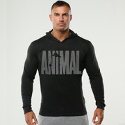  ,  Mixal, 45