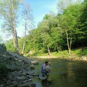 ���������� ���������, ���� ������� �����, 31 ���, ������������ ��� ������, ����� � ���������