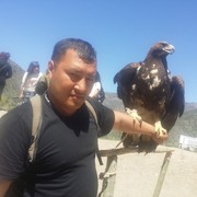  ,  , 39