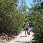 ���������� ����, ���� ������� ������, 27 ���, ������������ ��� ������, ����� � ���������