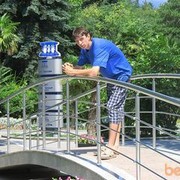 ���������� ������-��-����, ���� ������� �����, 36 ���, ������������ ��� ������, ����� � ���������, c�������� ���������