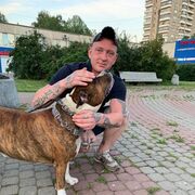 ���������� �����-���������, ���� ������� BonuS, 33 ����, ������������ ��� ������, ����� � ���������