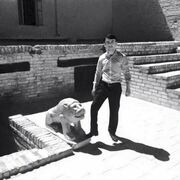 ���������� �������, ���� ������� �����, 33 ����, ������������ ��� ������, ����� � ���������