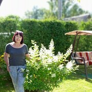 ���������� ������, ���� ������� �������, 67 ���, ������������ ��� ����� � ���������, c�������� ���������, ���������