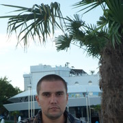  ,   Kot, 46 ,   