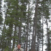 ���������� ������, ���� ������� �����, 51 ���, ������������ ��� ������, ����� � ���������, c�������� ���������