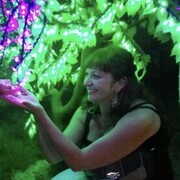 ���������� ������, ���� ������� �������, 49 ���, ������������ ��� ������, ���������