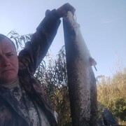  ,   , 42 ,     , c 