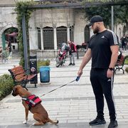 ���������� ����� �������, ���� ������� ����, 33 ����, ������������ ��� ������, ����� � ���������