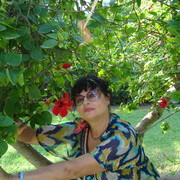 ���������� ��������, ���� ������� �����, 67 ���, ������������ 