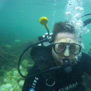 ���������� ���������, ���� ������� �����, 33 ����, ������������ ��� ������, ����� � ���������