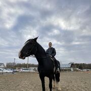 ���������� �������, ���� ������� �����, 27 ���, ������������ ��� ������