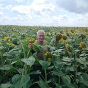  ,   , 55 ,   ,   , c , 