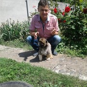  ,   , 57 ,   ,   , c 
