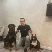 ���������� ���������, ���� ������� �������, 33 ����, ������������ ��� ����� � ���������, c�������� ���������