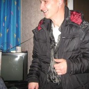  ,   , 41 ,   