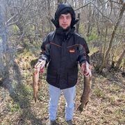 ���������� �����-���������, ���� ������� ���, 27 ���, ������������ ��� ������, ����� � ���������