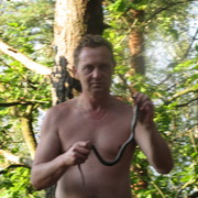  ,   , 55 ,   