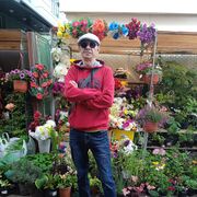  ,   , 52 ,   