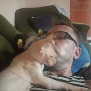  ,   , 51 ,   ,   