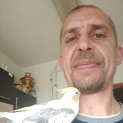  ,   , 50 ,   ,   , c 